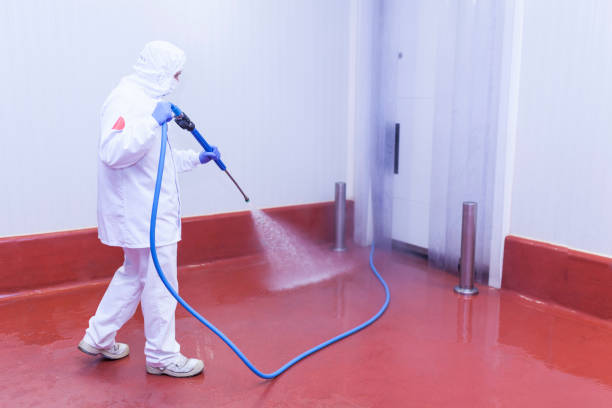 Best Driveway Pressure Washing  in Beach City, TX